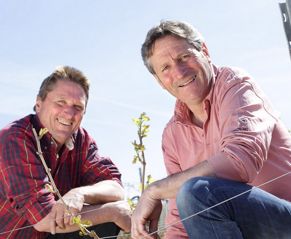 Gilbert Picq: Chablis' Affordable Classic