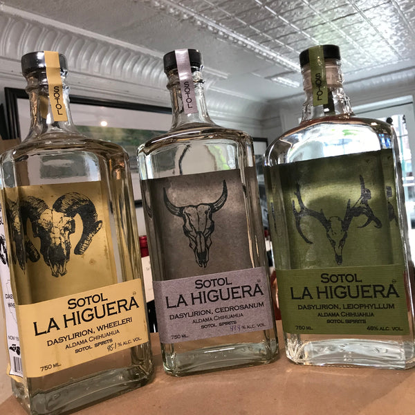 Talkin' Sotol w/Arik Torren