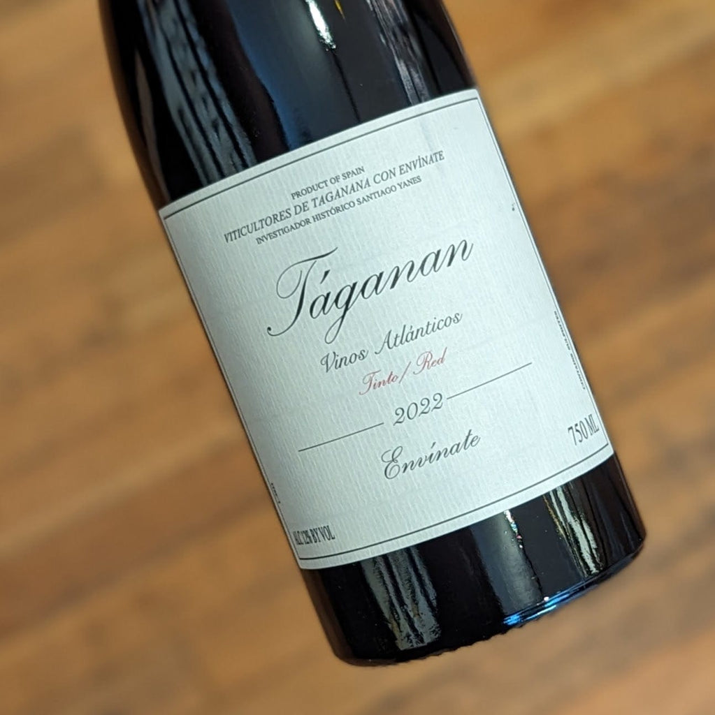 Envinate Taganan Tinto 2022 Spain-Canary Islands-Red MCF Rare Wine - MCF Rare Wine