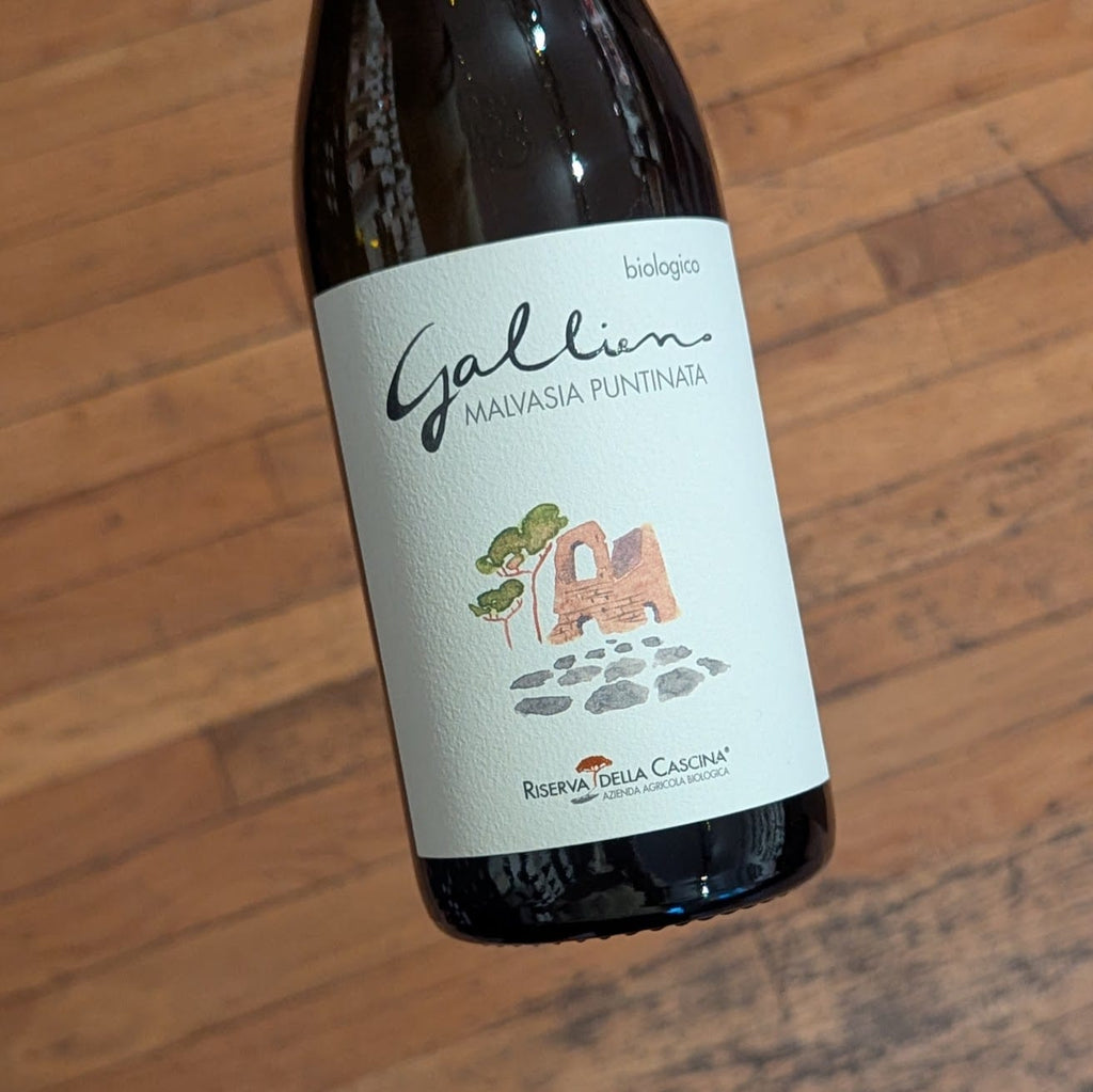 Gallieno Malvasia Puntinata 2024 Italy-Lazio-White MCF Rare Wine - MCF Rare Wine