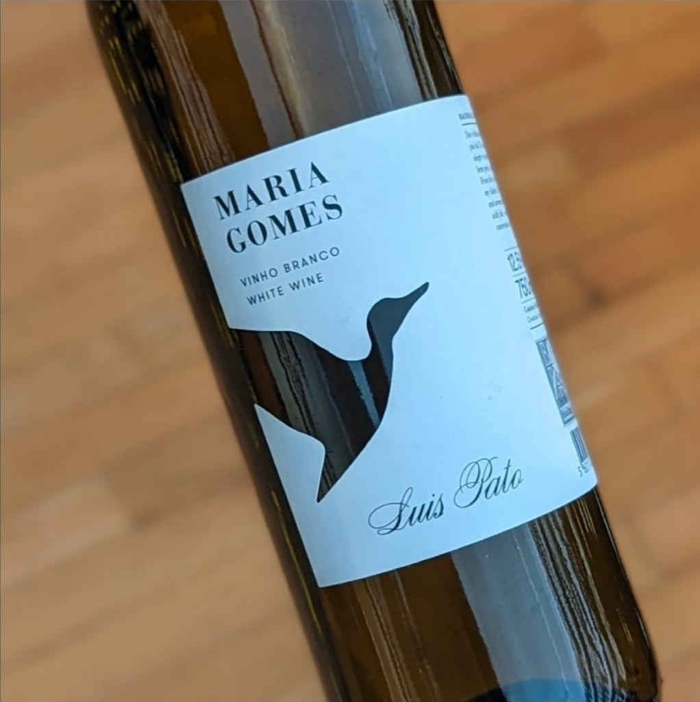 Luis Pato Maria Gomes Branco 2025 Portugal-Bairrada-White MCF Rare Wine - MCF Rare Wine