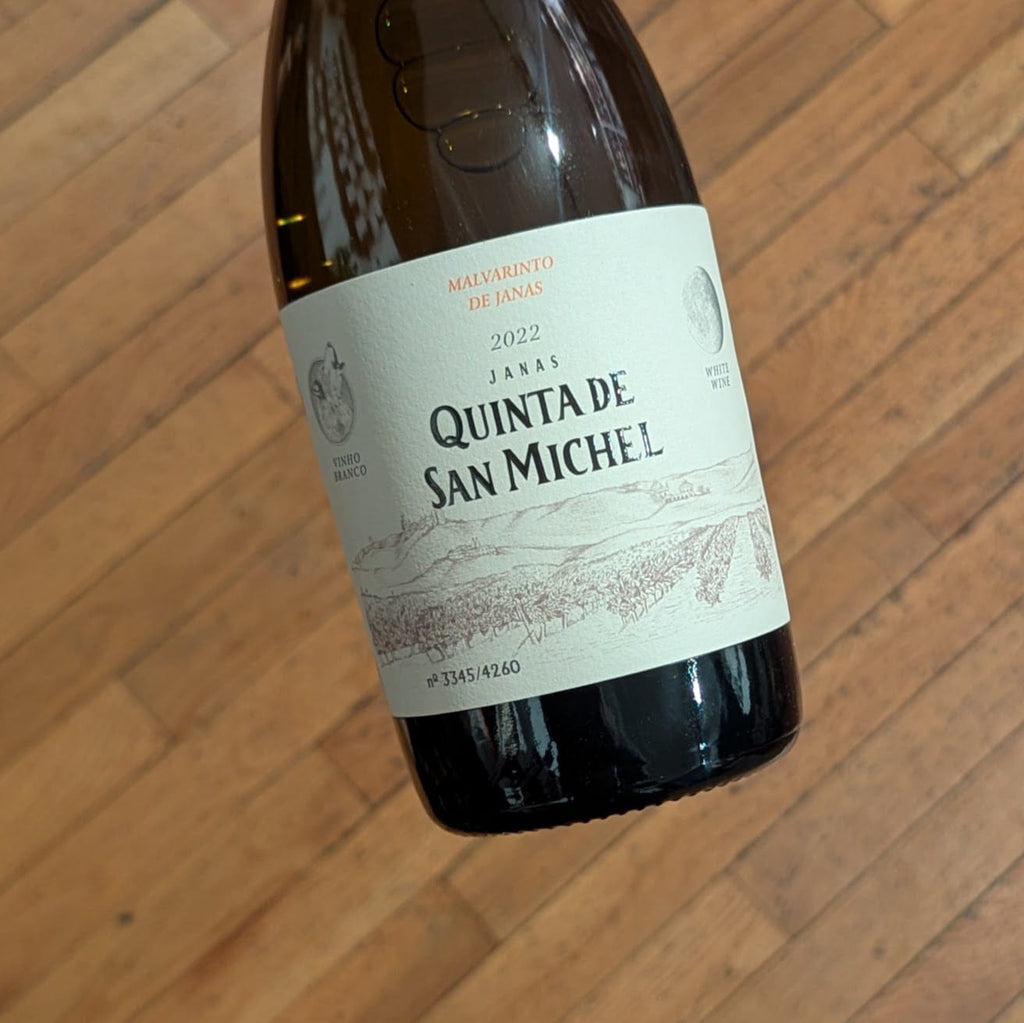 Quinta de San Michel Malvirinto de Janas 2022 White Wine MCF Rare Wine - MCF Rare Wine