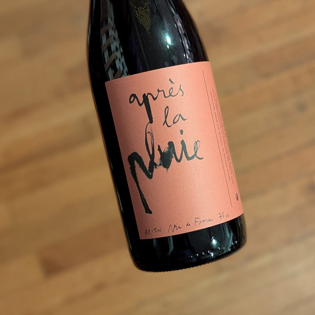 Simon Rouillard Après la Pluie 2023 France-Loire-Red MCF Rare Wine - MCF Rare Wine