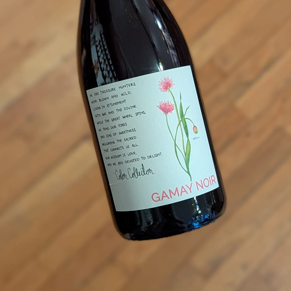 The Color Collector Gamay Willamette Valley 2024 USA-Oregon-Red MCF Rare Wine - MCF Rare Wine